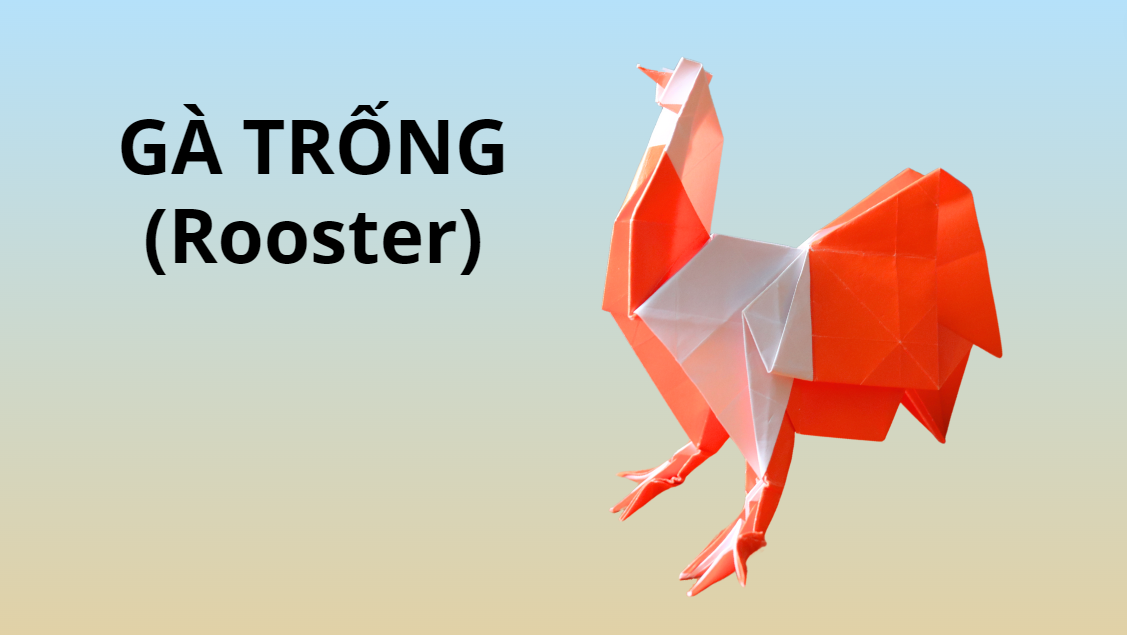 Video 52: Mẫu gấp Cpn gà trống  - The Art of Paper Folding: Rooster